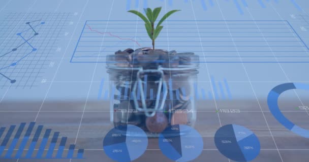 Animação Processamento Dados Financeiros Sobre Jarro Com Planta Cheia Moedas — Vídeo de Stock