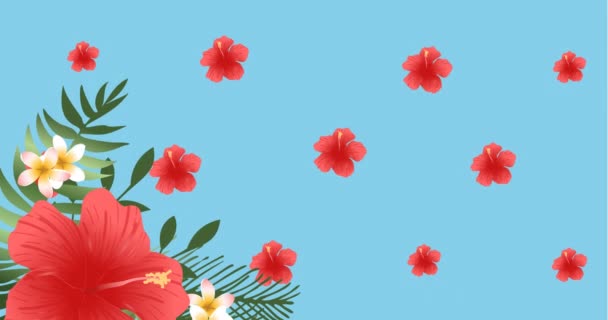 Animation Red Flowers Pulsating Formation Tropical Leaves Blue Background Colour — Stock Video