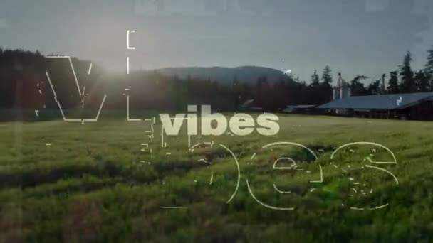 Animation Word Vibes White Distorting Sunlit Countryside Lens Flare Positive — Stock Video