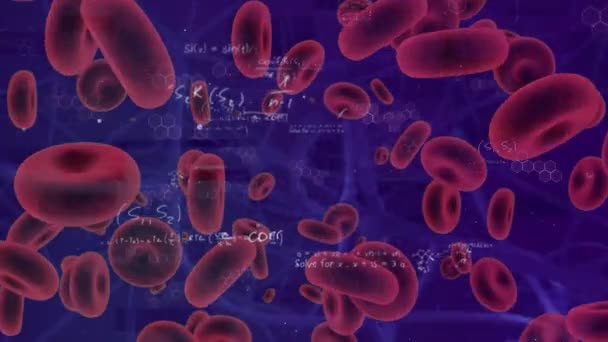 Animation Data Processing Floating Red Blood Cells Purple Background Global — Stock Video