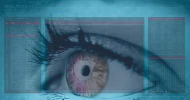 Kadın kehribar gözü arayüzü ve hızlı dijital bilgiyle animasyonu. iletişim teknolojisi dijital arayüz kavramı, dijital olarak oluşturulmuş video.