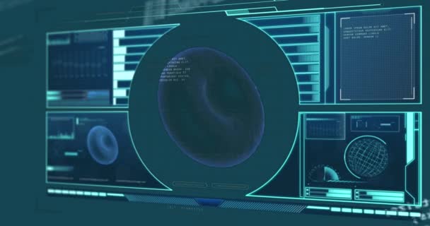用数字屏幕上的医疗数据进行红血球动画和范围扫描 全球医学和验尸官流行病概念数字生成视频 — 图库视频影像