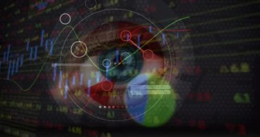 Finansal veri işleme ve kadınların gözünü tarama animasyonu. küresel bağlantılar, teknoloji ve dijital arayüz konsepti dijital olarak oluşturulmuş video.