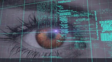 Şebeke ve kadın gözü üzerinden veri işleme animasyonu. küresel bağlantı, veri işleme ve dijital arayüz konsepti dijital olarak oluşturulmuş video.