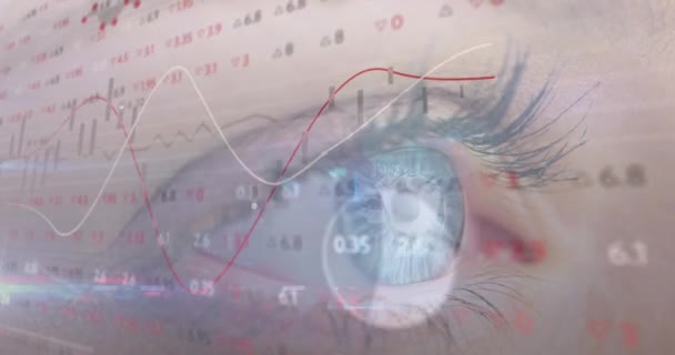 Animazione Dell Elaborazione Dei Dati Finanziari Sull Occhio Della Donna — Video Stock