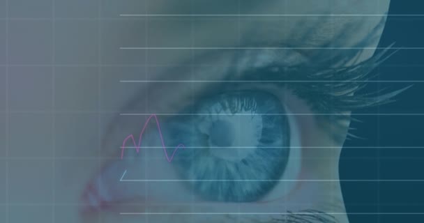 Animação Processamento Dados Financeiros Com Estatísticas Sobre Olho Mulher Conexão — Vídeo de Stock