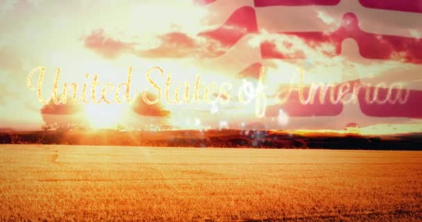 Animation Amerikas Förenta Stater Text Med Fyrverkerier Med Amerikansk Flagga — Stockvideo
