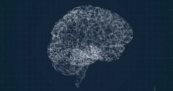 Animatie Van Het Menselijk Brein Met Netwerk Van Verbinding Raster — Stockvideo