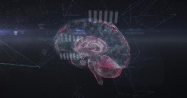 Animación Del Cerebro Procesamiento Datos Través Pantalla Digital Conexiones Globales — Vídeo de stock