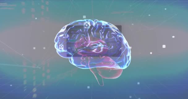 Animación Del Cerebro Humano Con Procesamiento Datos Interfaz Digital Conexiones — Vídeos de Stock