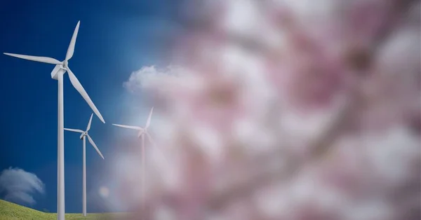 Kırsalda Pembe Çiçekli Rüzgar Türbinlerinin Bileşimi Küresel Çevre Sürdürülebilirlik Küresel — Stok fotoğraf