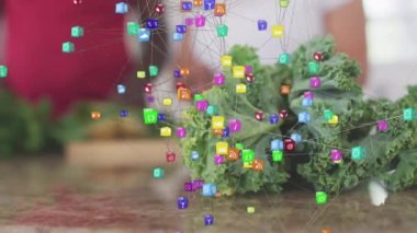 Mutfakta sebze doğrayan Afro-Amerikan yaşlı çifte karşı dijital ikonlar küresi. emeklilik son sınıf yaşam tarzı konsepti