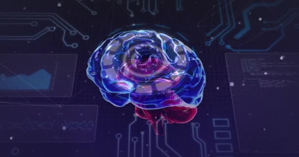 Animación Del Escaneo Del Alcance Procesamiento Datos Cerebro Humano Girando — Vídeos de Stock