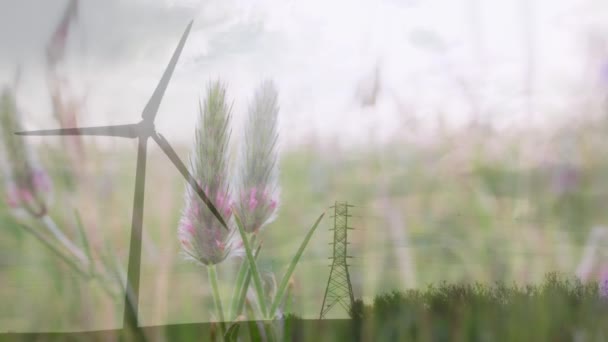 春の牧草地で花の上に回転する風力タービンのアニメーション 地球環境 持続可能性 代替エネルギー源の概念をデジタルで — ストック動画