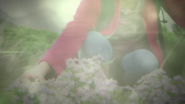 Χαμογελώντας Καυκάσιος Ηλικιωμένη Γυναίκα Πεζοπορία Και Αγγίζοντας Φυτά Πάνω Από — Αρχείο Βίντεο