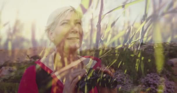 Mulher Idosa Branca Sorrindo Usando Binóculos Campo Sobre Gramíneas Movimento — Vídeo de Stock