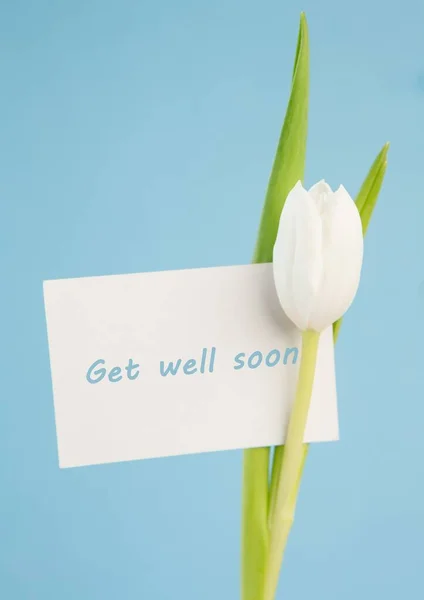 Composition Get Well Soon Carte Message Tulipe Blanche Sur Fond — Photo