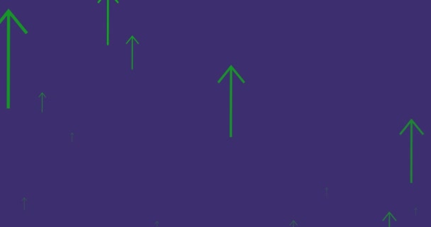 Animación Flechas Verdes Apuntando Hacia Arriba Moviéndose Sobre Fondo Púrpura — Vídeos de Stock