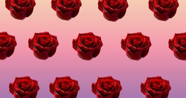 Pembe arka planda kırmızı güllerin çizimi. bahar, yaz ve doğa konsepti dijital olarak oluşturulmuş görüntü.