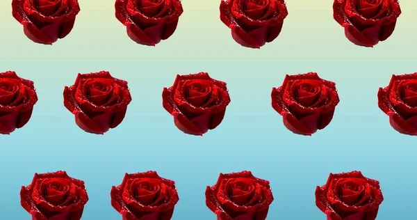 Ilustracja Rzędów Czerwonych Róż Niebieskim Tle Koncepcja Wiosny Lata Przyrody — Zdjęcie stockowe