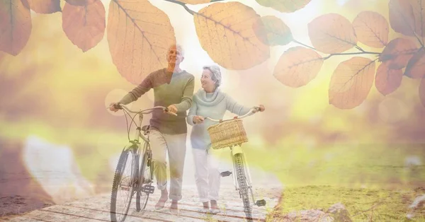老年男女骑自行车在有树木覆盖的公园里散步的组成 黄金岁月和积极退休的概念数字生成的图像 — 图库照片