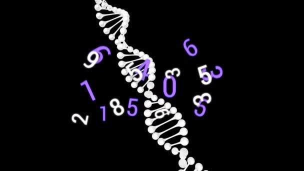 在黑色背景上Dna应变上浮点数的动画化 全球科学 技术和数字接口概念数字生成的视频 — 图库视频影像