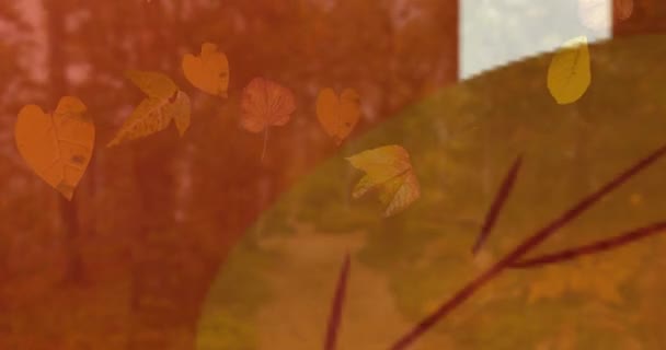 Animation Des Herbstverkaufstextes Weißen Lettern Über Herbstblättern Und Wald Einkaufs — Stockvideo