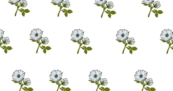 Illustration Rader Blå Blommor Vit Bakgrund Vår Sommar Och Natur — Stockfoto