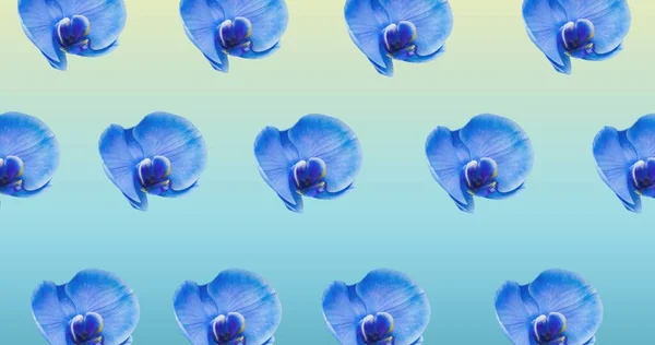 Ilustracja Rzędów Niebieskich Kwiatów Zielonym Tle Koncepcja Wiosny Lata Przyrody — Zdjęcie stockowe