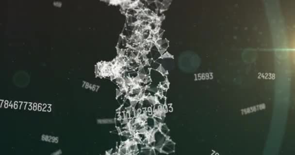 Анимация Паутины Соединений Чисел Черном Фоне Глобальная Наука Технологии Цифровые — стоковое видео