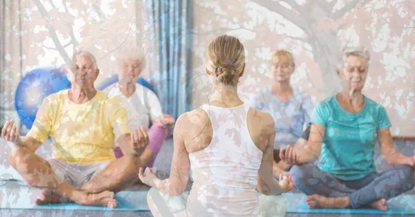 Sammansättning Senior Grupp Som Utövar Yoga Mediterar Med Instruktör Och — Stockfoto