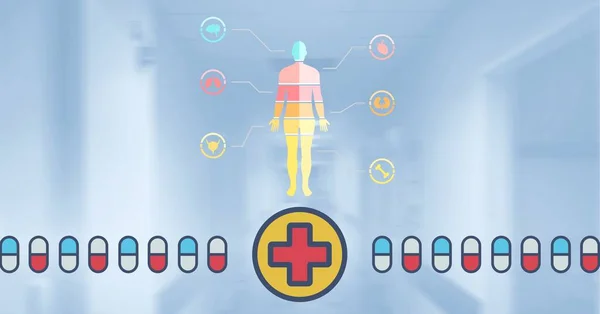 Sammansättning Människokroppen Och Nätverk Medicinska Ikoner Över Sjukhuset Globalt Online — Stockfoto