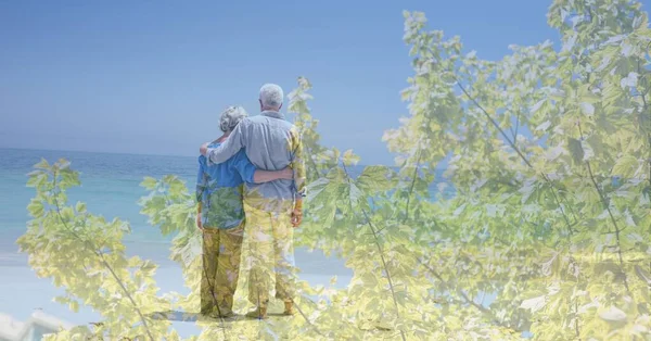 Samenstelling Van Senior Paar Omarmen Het Strand Bomen Het Zonlicht — Stockfoto