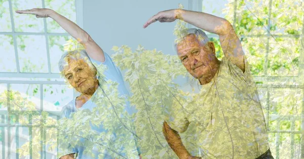 Složení Staršího Páru Cvičení Stromů Slunci Zdravý Aktivní Důchodový Životní — Stock fotografie