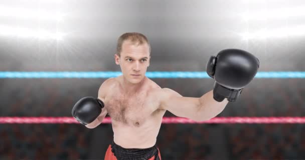 スポットライト上のボクシングリング上の白人男性ボクサーのアニメーション コロナウイルスのパンデミックの概念がデジタルで生成されたビデオの間のスポーツイベントと競争 — ストック動画
