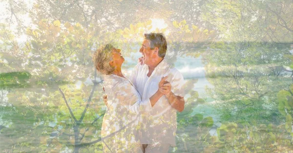 Zusammensetzung Aus Älteren Paaren Die Strand Tanzen Und Bäumen Sonnenlicht — Stockfoto