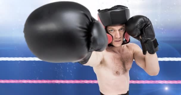 Animering Kaukasiska Boxare Boxning Ring Över Spotlights Sportevenemang Och Tävling — Stockvideo