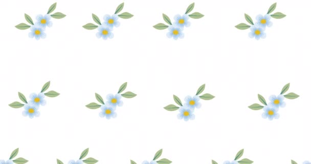 Composición Filas Flores Azules Que Mueven Sobre Fondo Blanco Patrón — Vídeo de stock