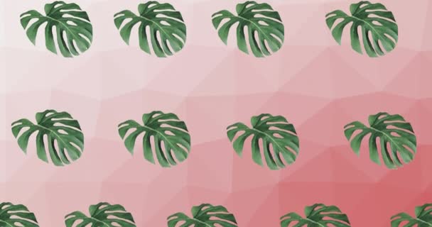 緑色の植物の列の構成はピンクの背景に移動します パターンやお祝いや自然概念をデジタルで生成し — ストック動画