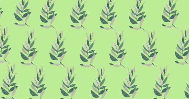 Анимация Зеленых Листьев Зеленом Фоне Узор Весна Лето Природа Цветовая — стоковое видео