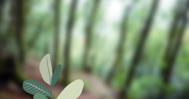 Animation Feuillage Baies Poussant Sur Fond Forêt Floue Nature Printemps — Video