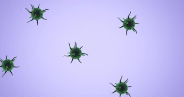 Mor arkaplanda covid 19 hücrenin animasyonu. Desen, küresel koronavirüs salgını ve sağlık konsepti dijital olarak oluşturulmuş video.