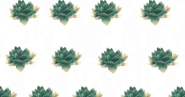 Beyaz Arka Planda Hareket Eden Sıra Sıra Yeşil Çiçeklerin Bileşimi — Stok video
