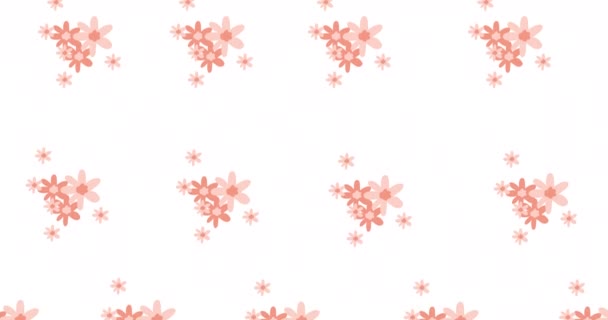Σύνθεση Από Σειρές Ροζ Λουλουδιών Που Κινούνται Λευκό Φόντο Σχέδιο — Αρχείο Βίντεο