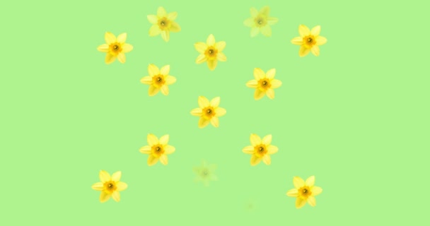 Animación Flores Azules Amarillas Sobre Fondo Verde Patrón Primavera Verano — Vídeo de stock