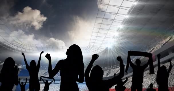 体育迷在体育场上欢呼的形象形象的动画 体育活动及比赛概念数码录影 — 图库视频影像