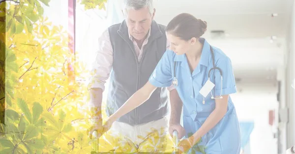 Zusammensetzung Einer Krankenschwester Die Einem Älteren Kaukasischen Mann Beibringt Einen — Stockfoto