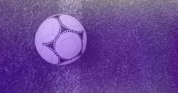 Composition of football on white line on grass pitch with copy space and purple tint. sport and competition concept digitally generated image.