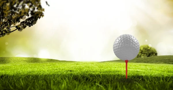 Zusammensetzung Des Golfballs Gras Auf Rotem Tee Und Kopierraum Sport — Stockfoto