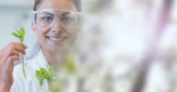 stock image Composition of smiling female scientist holding test tube with plant and copy space. research and science concept digitally generated image.